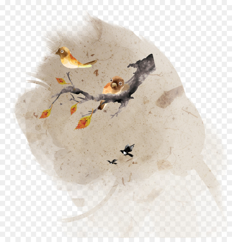 Adobe Illustrator - uccello albero