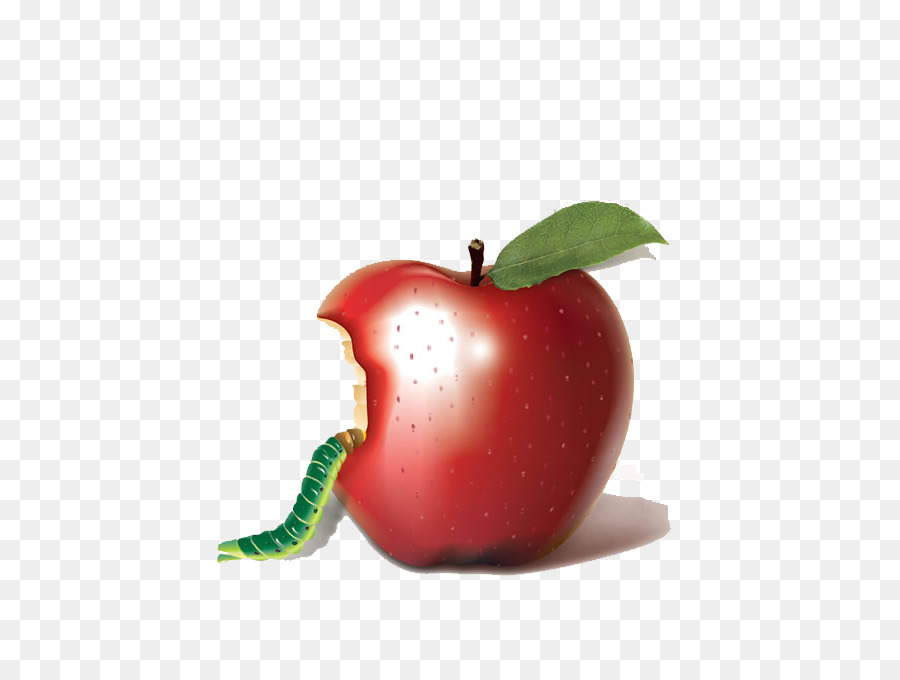 Apple bobbing Mordere Auglis - mela morsicata