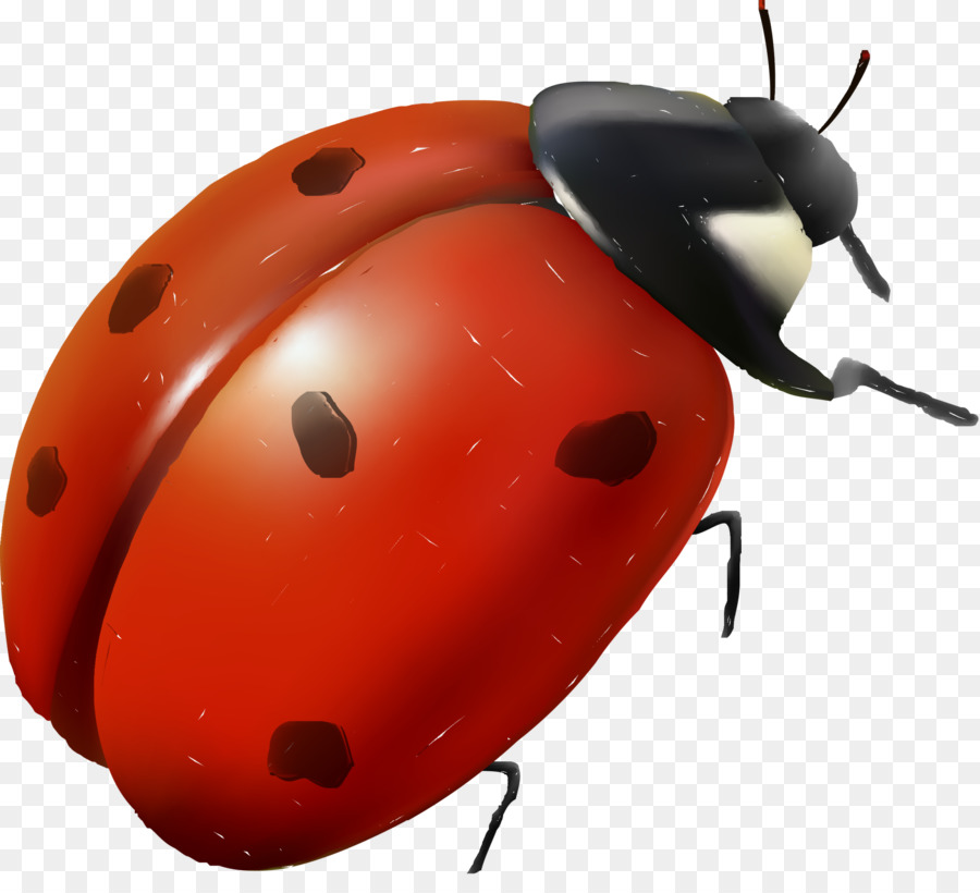 Marienkäfer-Insekt-Rot Cartoon - rote Marienkäfer