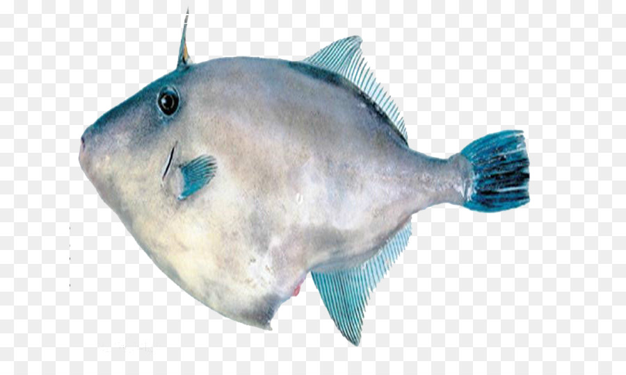 Fisch Hot pot mit Meeresfrüchten - Kind Fisch
