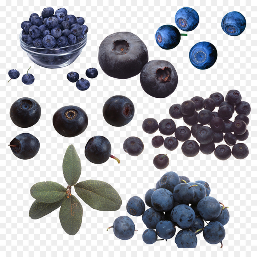 Blueberry Beaujolais Heidelbeere - blau und Violett verstreut blueberry arbutin