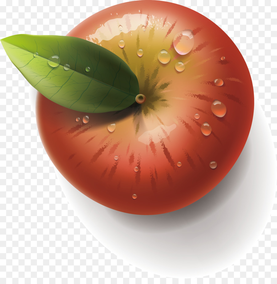 Adobe Illustrator - Red Apple Green Leaf-Element