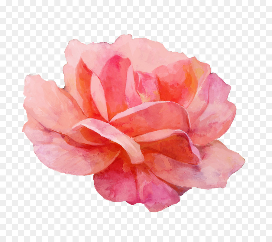 Garten Rosen-Aquarell - Rot Aquarell gemalten floralen Elementen