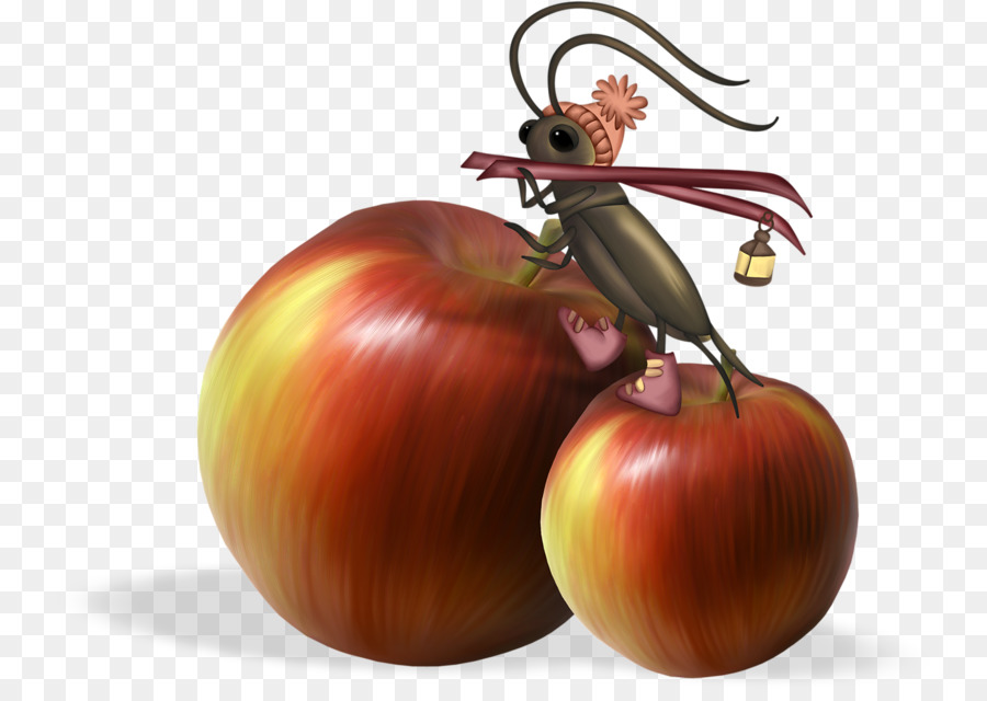 Erdbeer-Apfel-Frucht - Hand bemalt rot apple