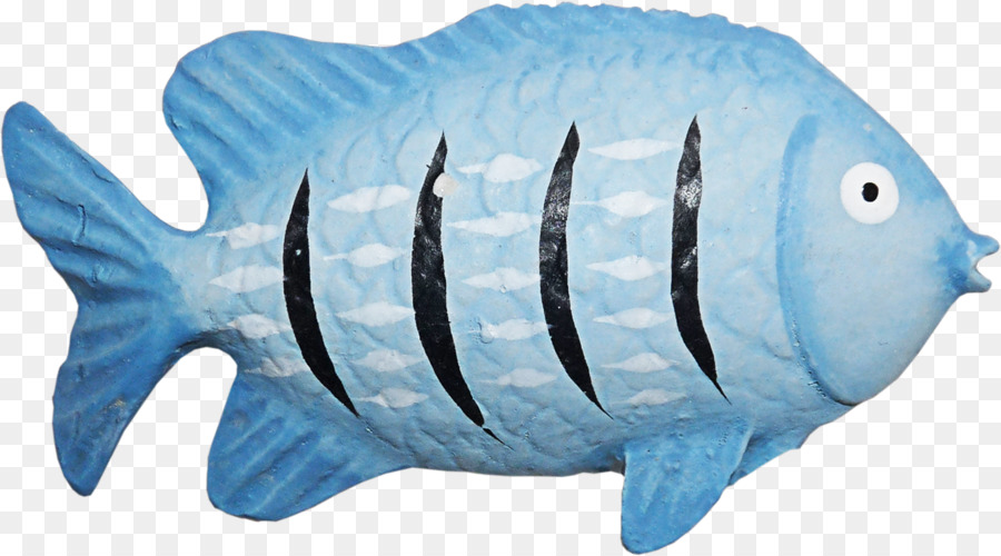 Cá Tải về Clip nghệ thuật - Phong cách địa trung hải con cá màu xanh