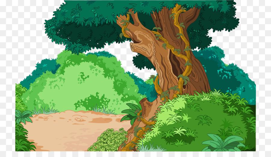 Tropicale e subtropicale umido boschi di latifoglie foresta Tropicale, Tropics Illustrazione - albero verde