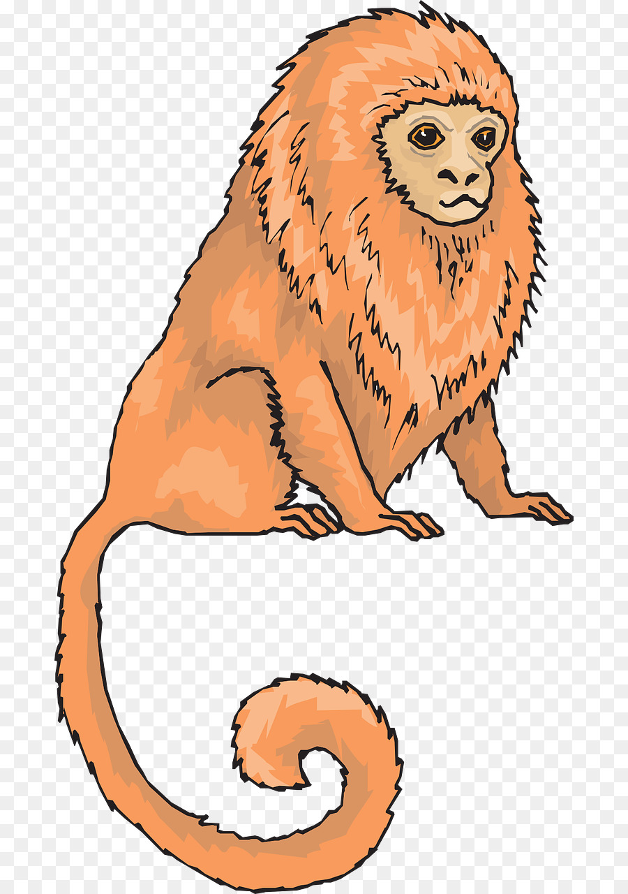 Marmoset Monkey Clip Art - Orangen Affen