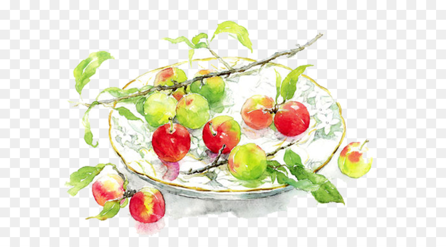 Aquarell Winsor & Newton ölfarbe - rote äpfel