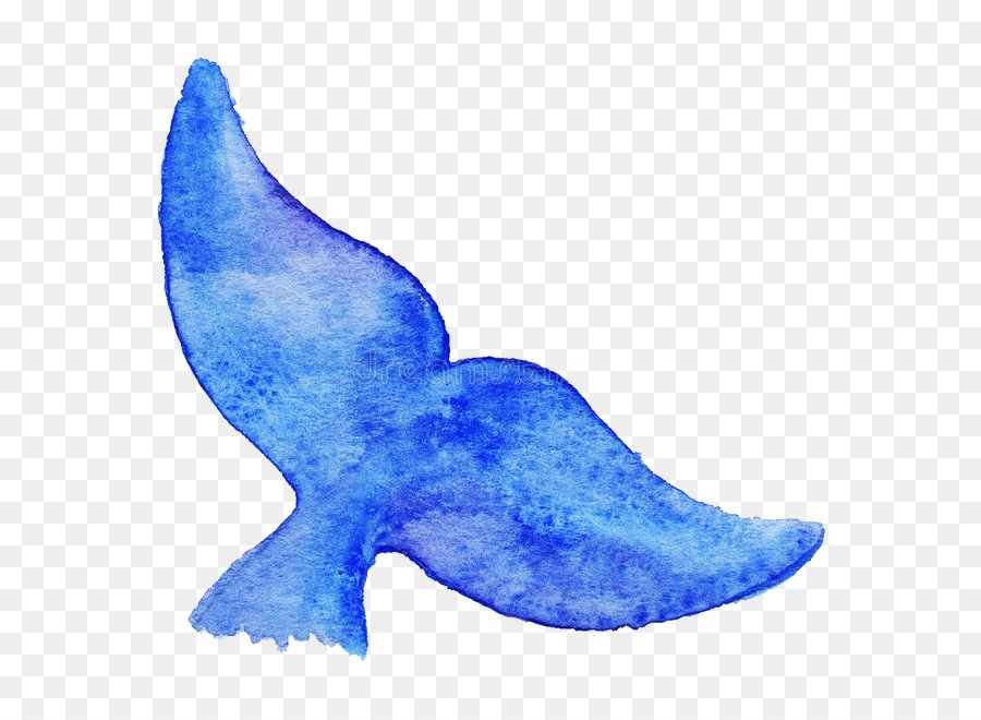 Whale Cartoon png download - 658*658 - Free Transparent Blue Whale png  Download. - CleanPNG / KissPNG
