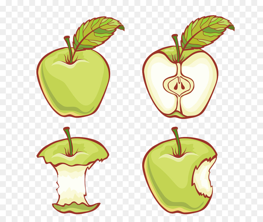 Apple Adobe Illustrator Illustration - 4 Malte grüner Apfel