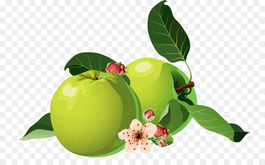 Apple Clip Art - zwei grüne äpfel