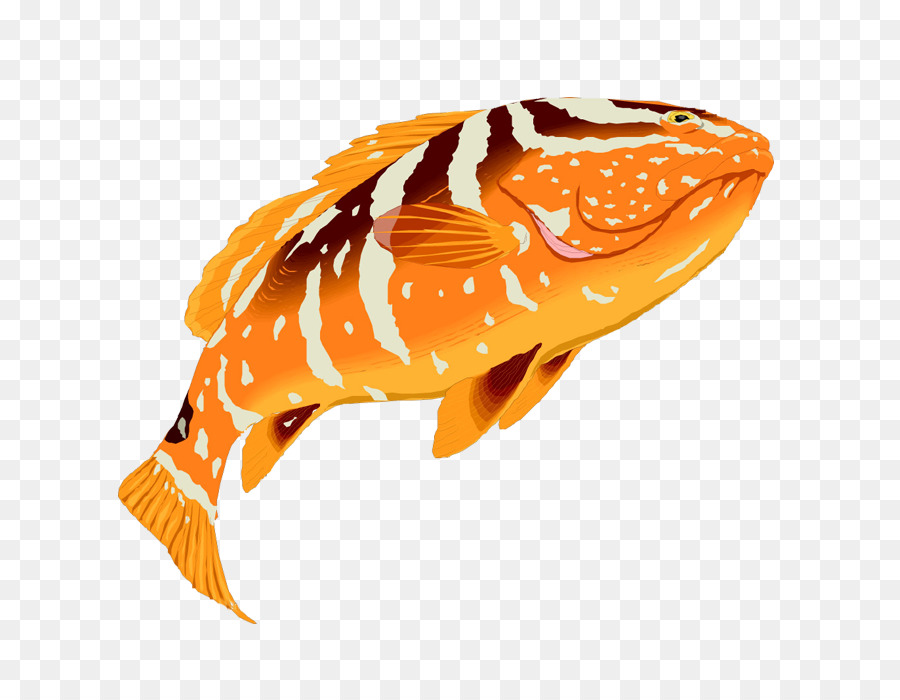 Cá mú Clip nghệ thuật - Màu cá nhiệt đới