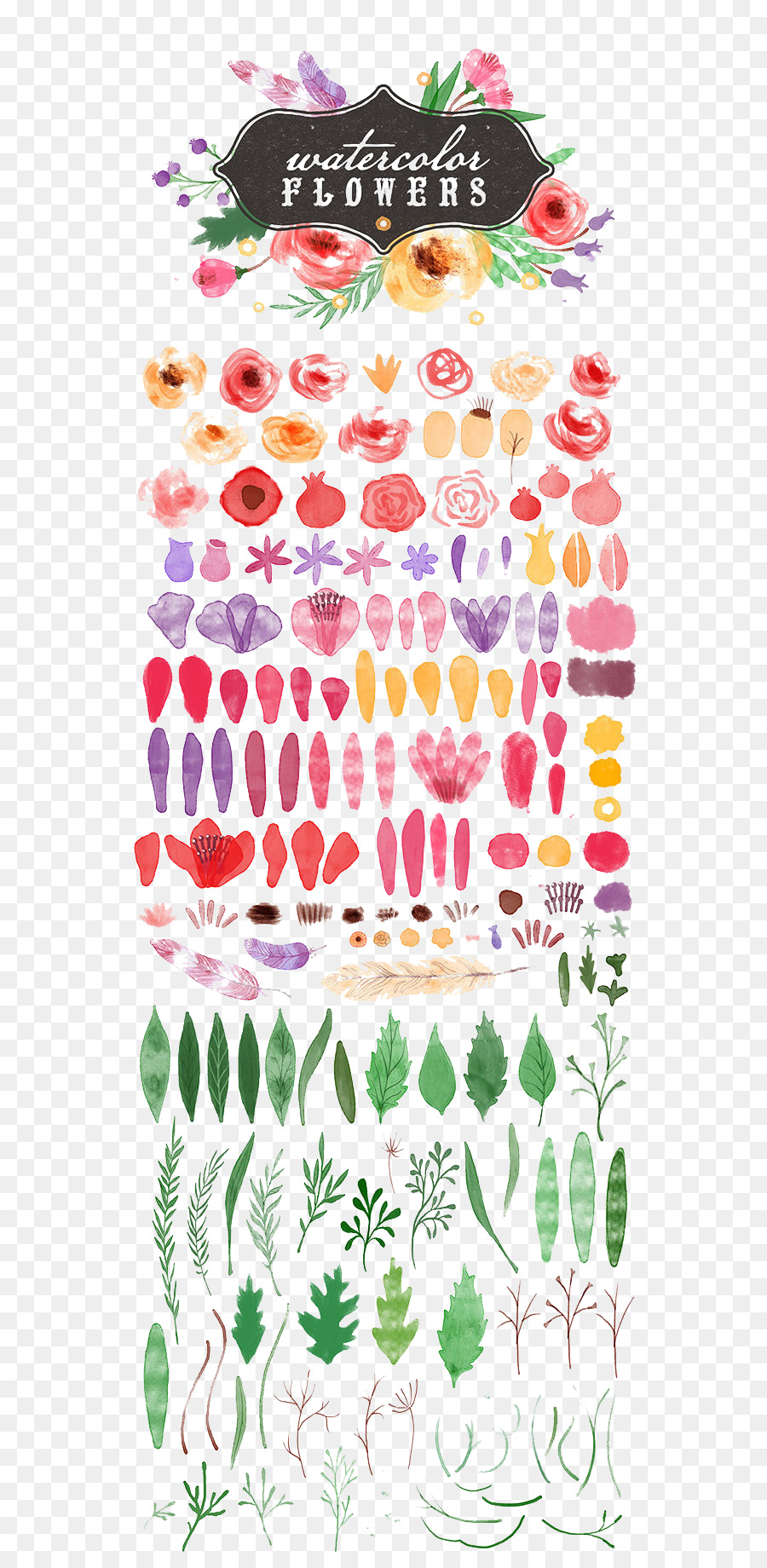 Aquarell Abbildung - Blumen Sammlung