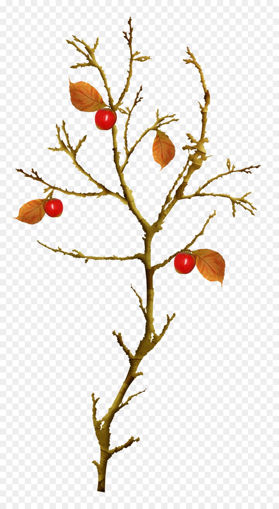 Herbst, Blätter, Zweig, Baum clipart - Schönen Apfelbaum