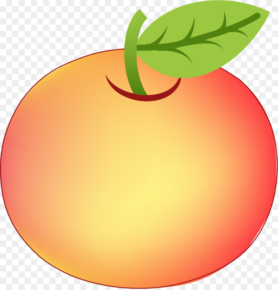 Grapefruit Kleinen Apple Clip art - Hand bemalt rot apple