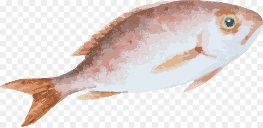 Pesce Disegno Animato - Dipinto a mano materiale di pesce
