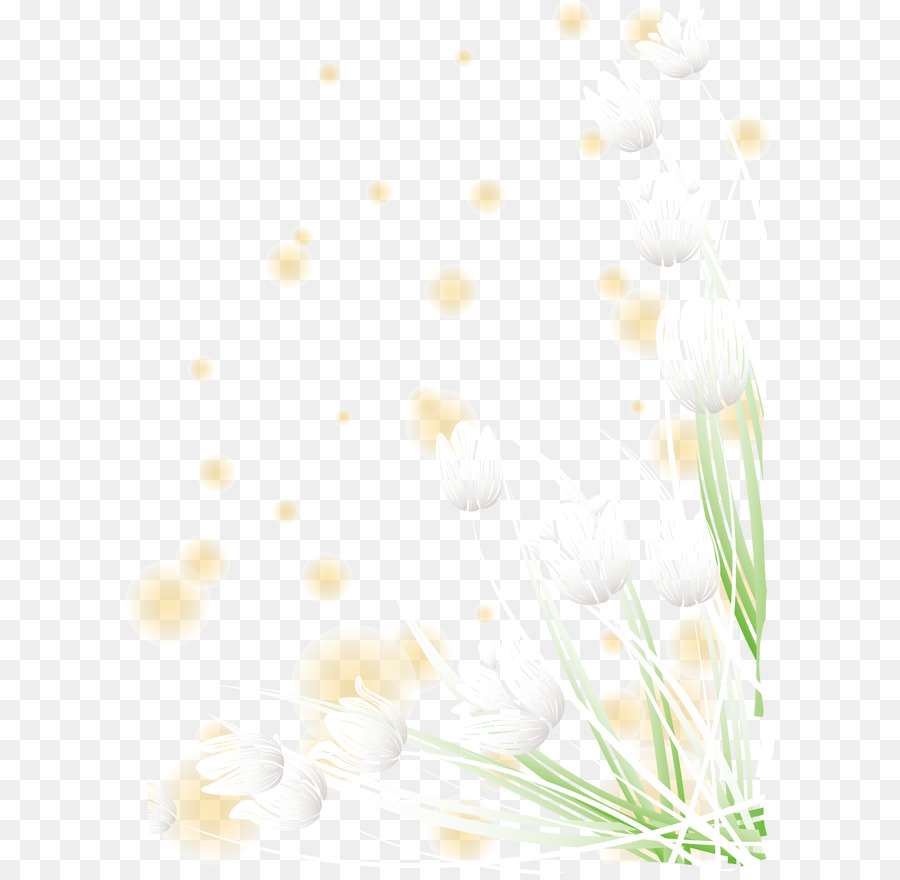 weiße Blumen Muster - Weiße Blumen Dekoration Muster