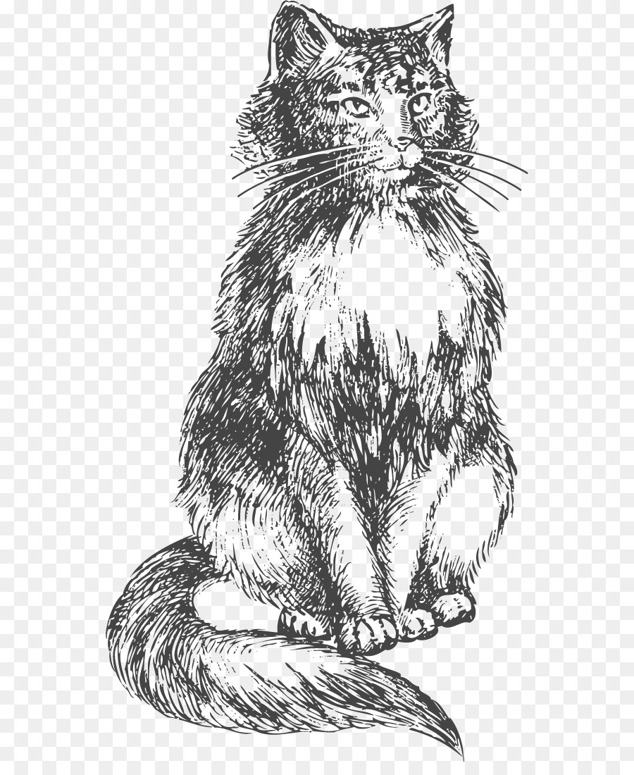 Bengal Katze Kitten Zeichnung, Skizze - Hand gezeichnete Katze-Vektor