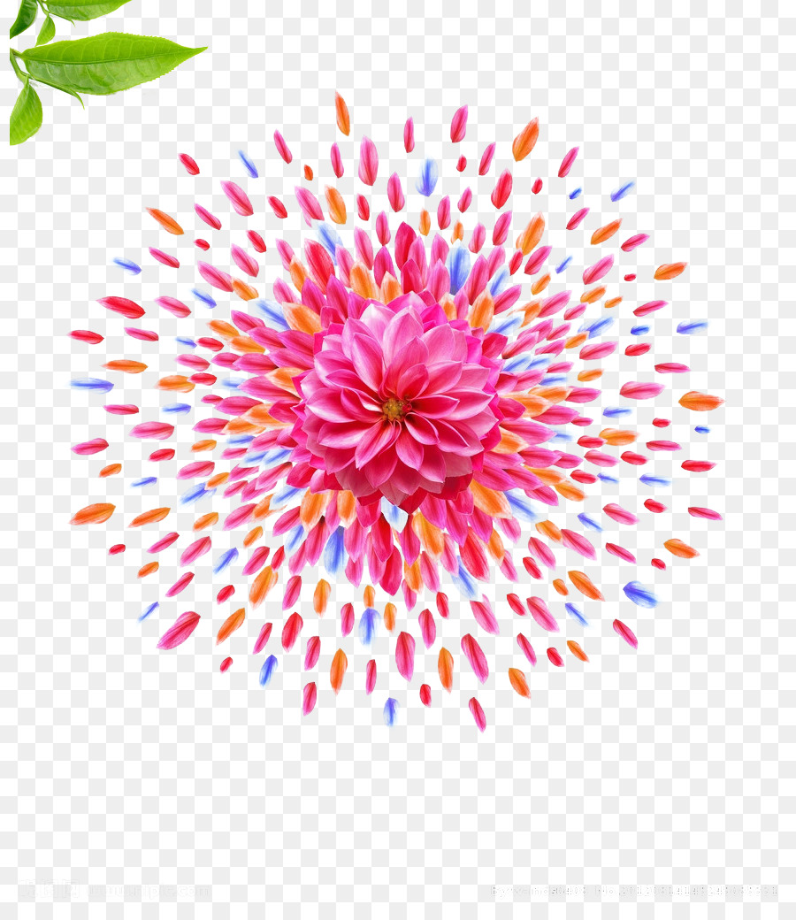 petalo - Colorato motivo floreale