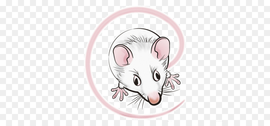 Ratto mouse del Computer Gerbillo Cartoon - Dipinto a mano cartoon mouse