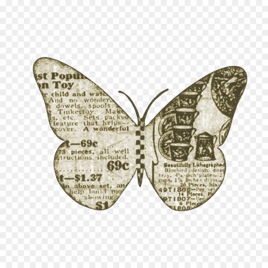 Farfalla Nymphalidae - farfalla