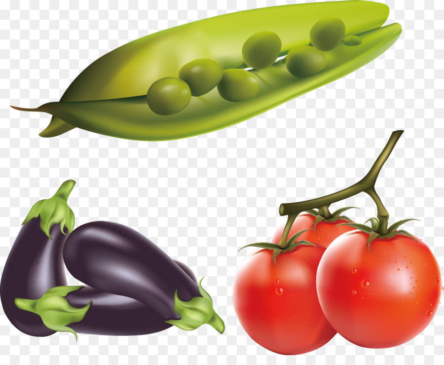 Melanzane Pomodoro Clip art - Verdure fresche realistico rendering
