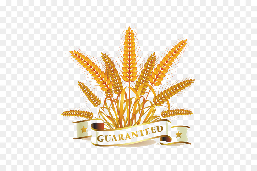 Wheat Cartoon png download - 600*600 - Free Transparent Wheat png