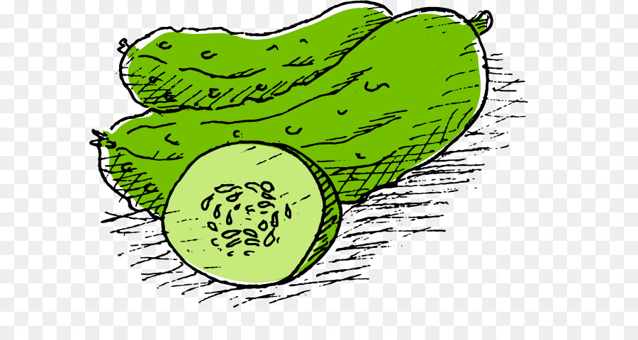 Cetriolo, Melone Pepino - Piccolo dipinto a mano cartoon cetriolo vegetale cetriolo