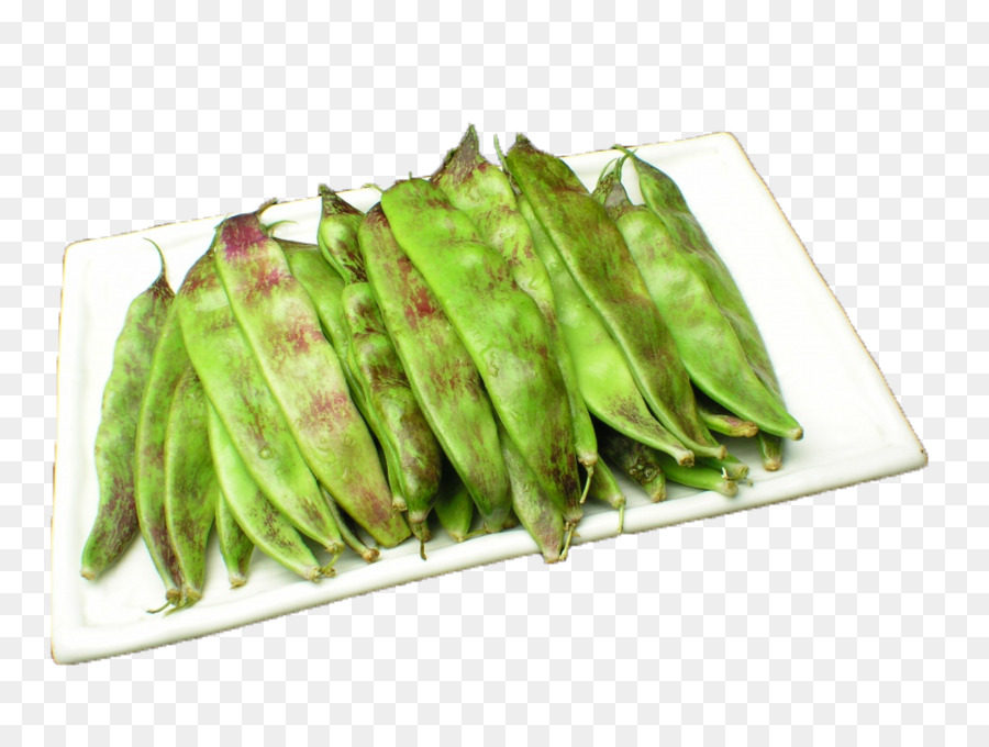 Yardlong bean nord-est della Cina Fagiolo Comune di Verdure - Olio vegetale e fagioli
