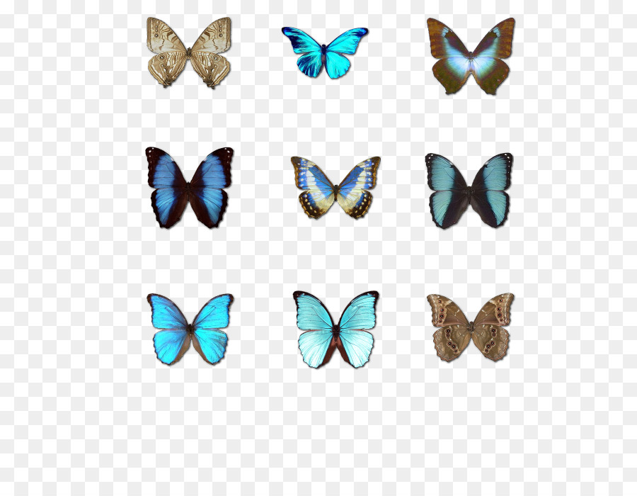 Download ICO Symbol - Schmetterling
