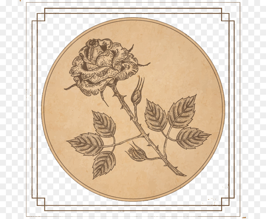 Papier-Zeichnung-Fotografie-clipart - Vintage Rose-Design Vektor-material