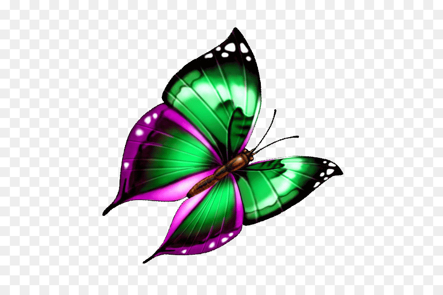 Schmetterlings Illustration - Schmetterling