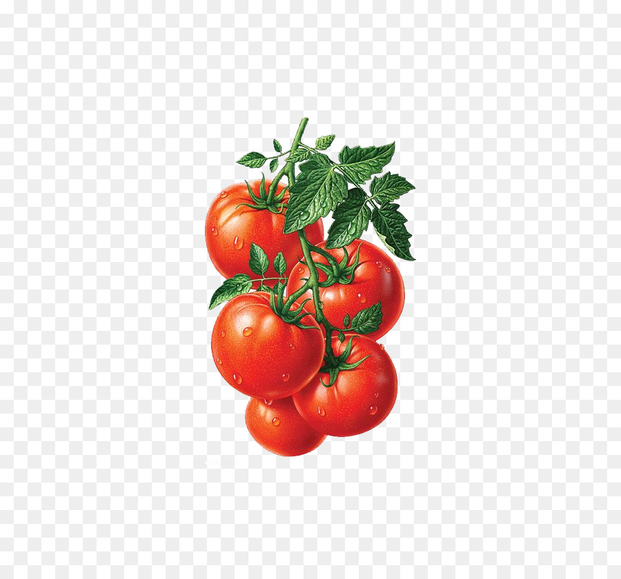 Saft Roma-Tomaten Heirloom-Tomaten-Früchte-Illustration - Gemüse und Obst