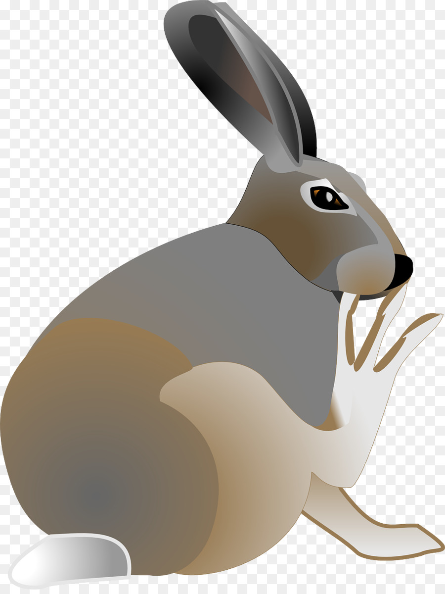 Easter Bunny thỏ Bắc cực Clip nghệ thuật - Xem Thỏ