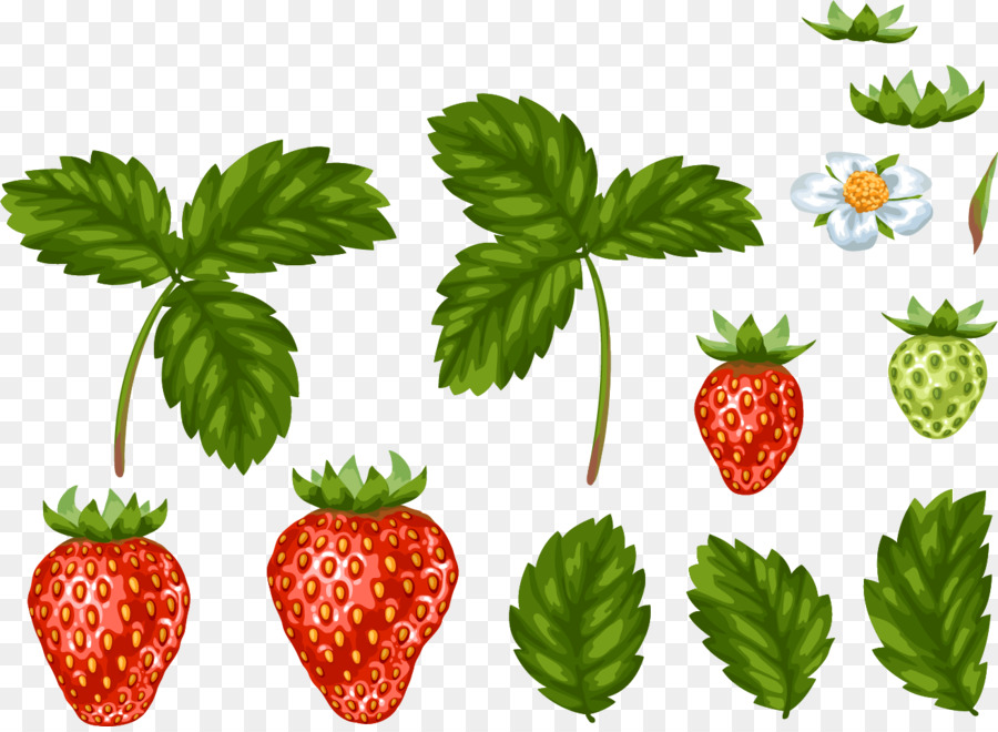 Strawberry, Leaf, Berry, Food, Drawing, Aedmaasikas, Flower, Fruit, Superfo...