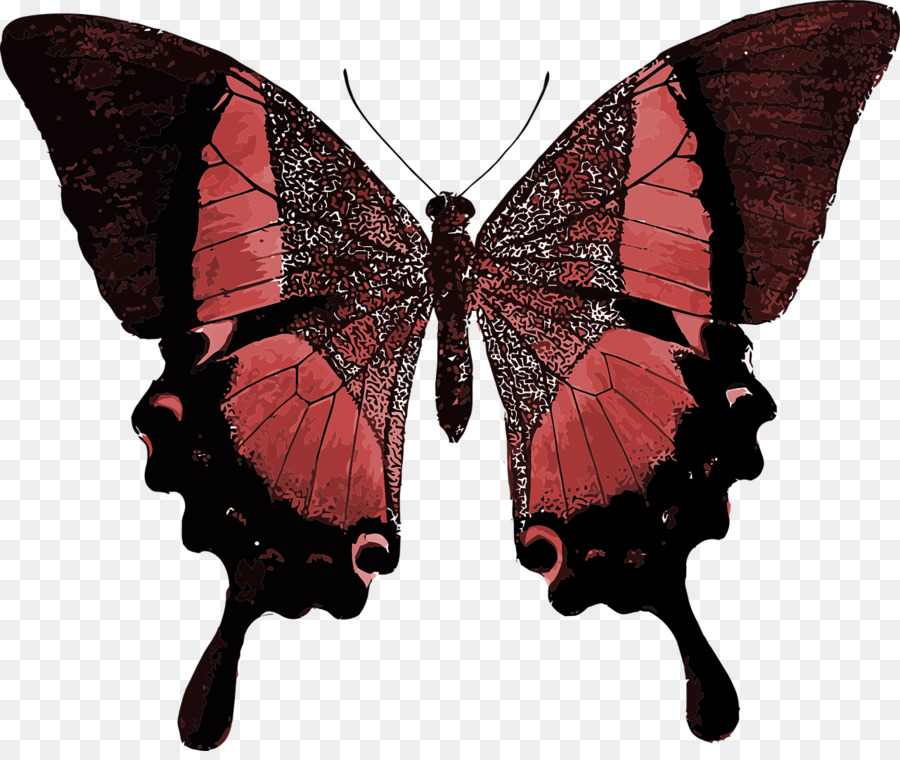 Vua bướm màu Xanh Clip nghệ thuật - bướm