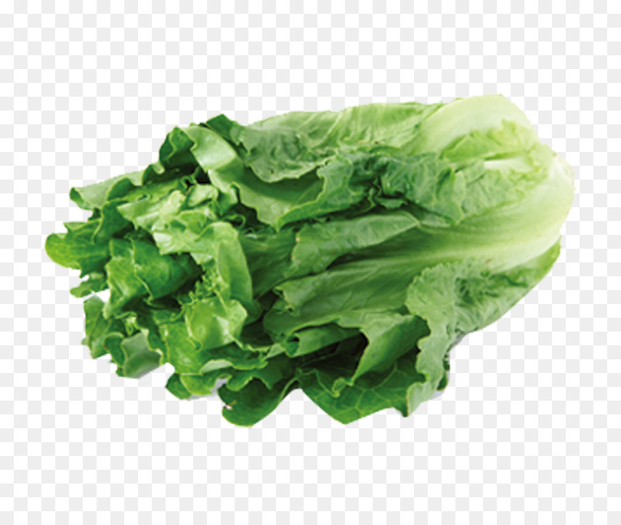 Blatt-Gemüse-Salat-Food-Ernährung - grünes Gemüse