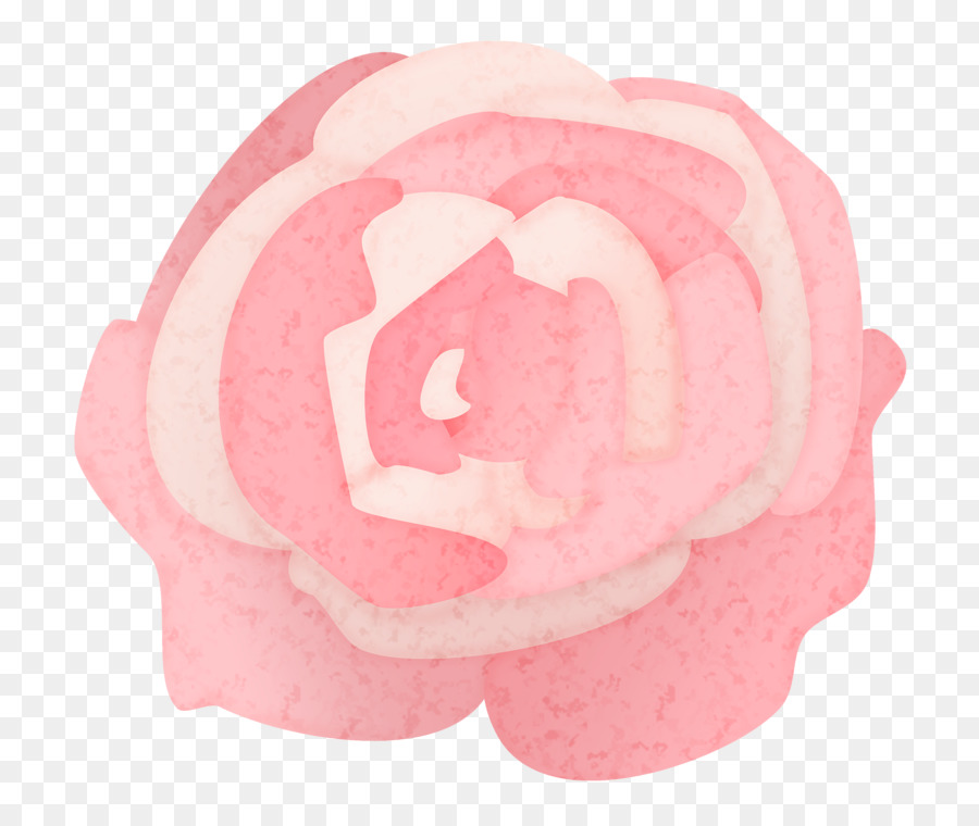 Rose Rosxe9 Hoa Hồng - hoa hồng