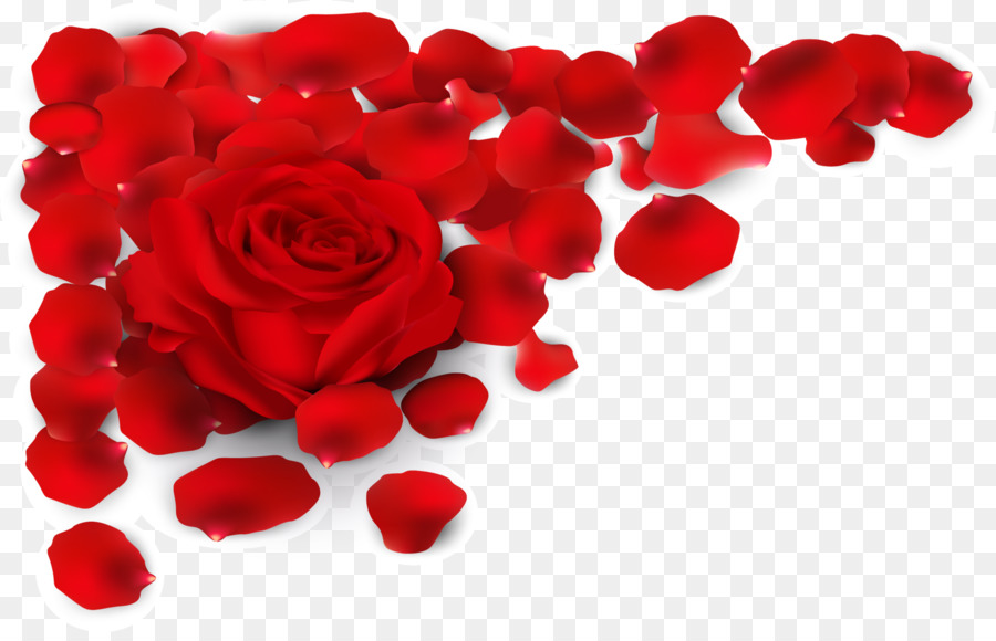 Red Rose Petal Abbildung - Red Rose Blüten