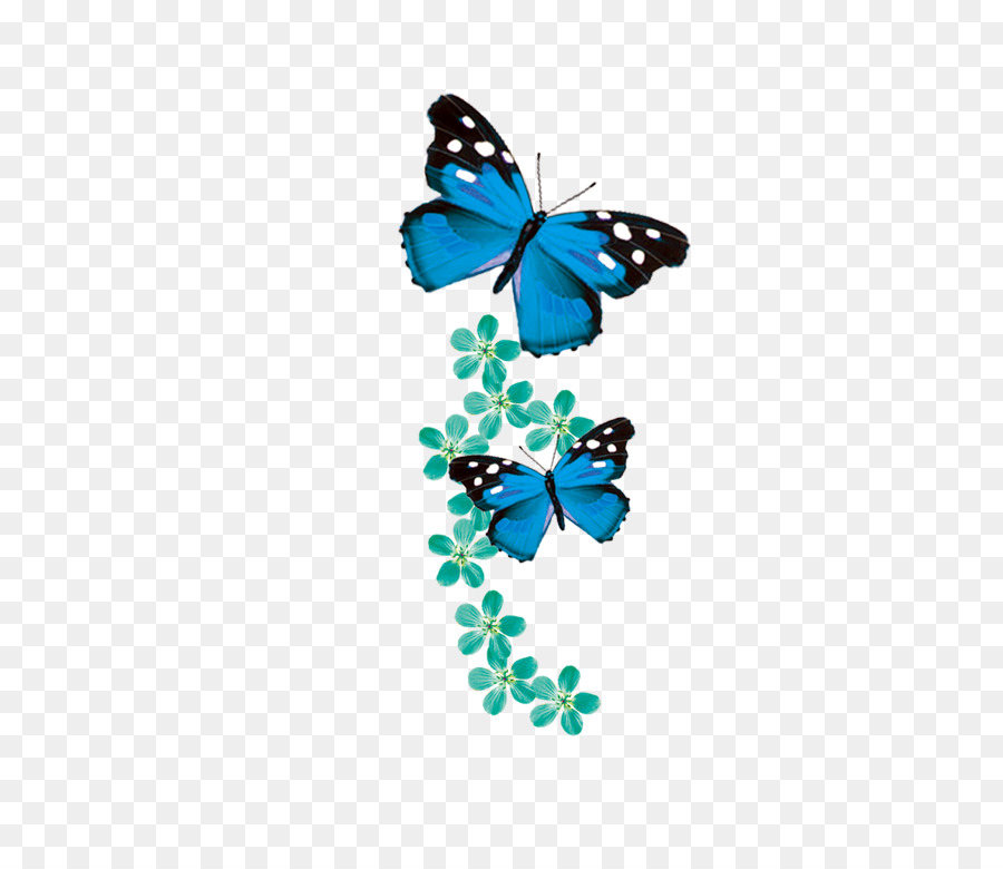 Monarch Schmetterling Blau - Schmetterling