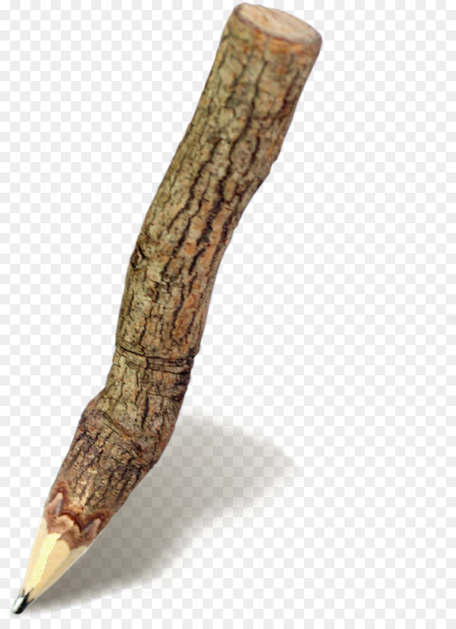 Rinde Baum Bleistift - Poster Bäume Thema warme winter-deals