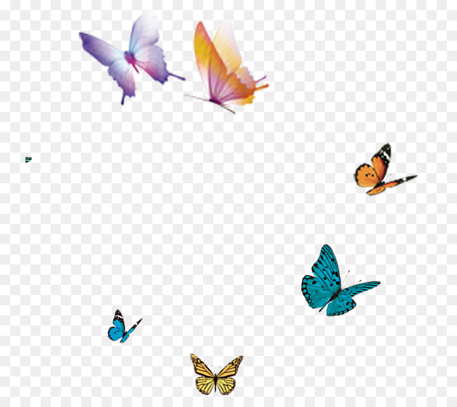 Schmetterlings-Flug-Flügel - Schmetterling