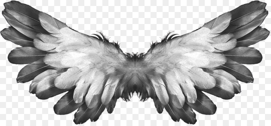 Engel Buffalo wing Himmel - Schmetterling