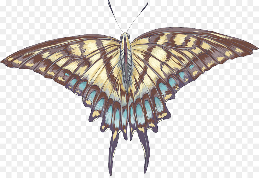 Monarca, farfalla, Falena - creative farfalla