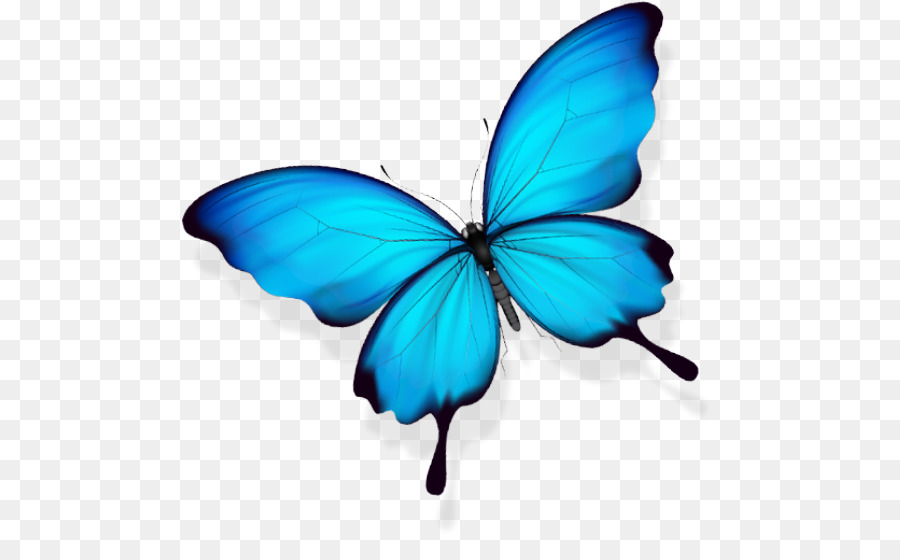 Schmetterling Gratis - Schmetterling