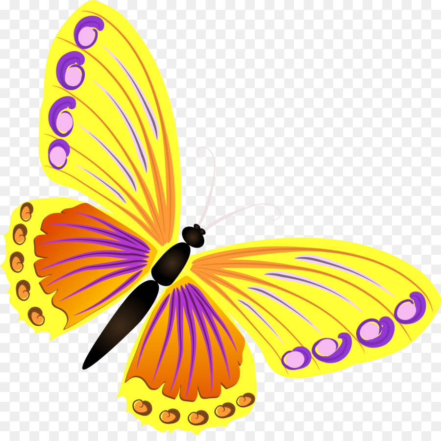 Farfalla Gialla - farfalla gialla