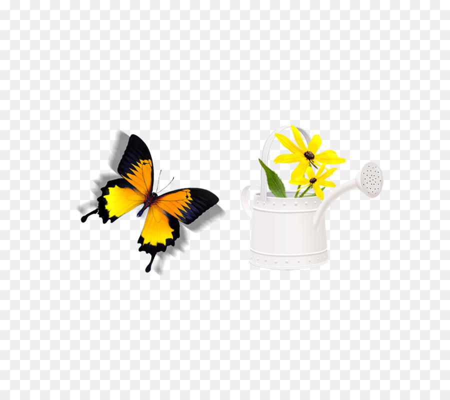 download Symbol - Schmetterling