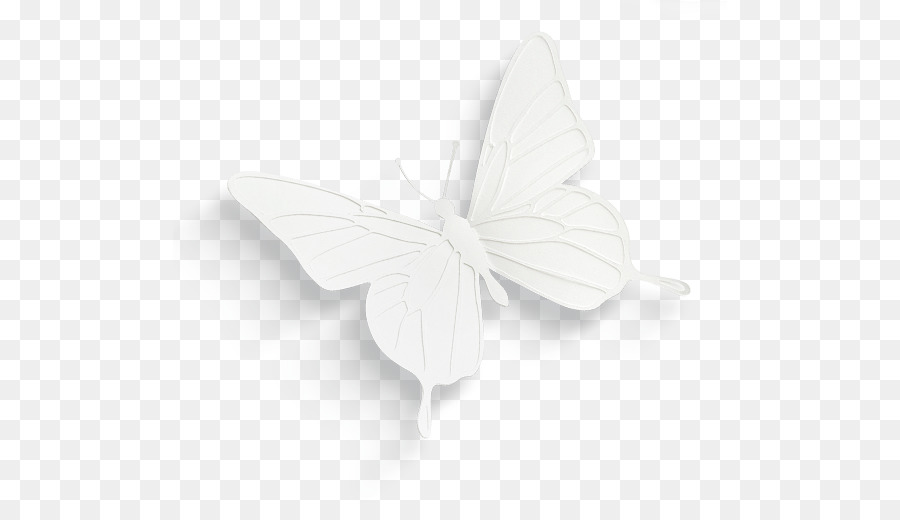 Butterfly Black And White png download - 554*511 - Free Transparent  Butterfly png Download. - CleanPNG / KissPNG