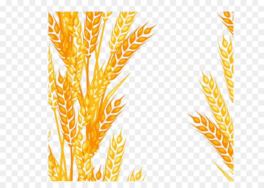 Wheat Cartoon png download - 1754*1240 - Free Transparent Animation png  Download. - CleanPNG / KissPNG