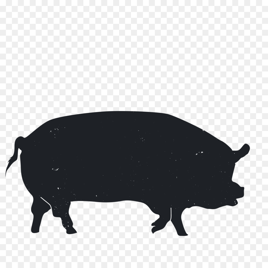 Holstein-Friesian Rinder asturischen Tal Rinder Inländische Schweine-Asturien-Silhouette - tierischen Silhouetten